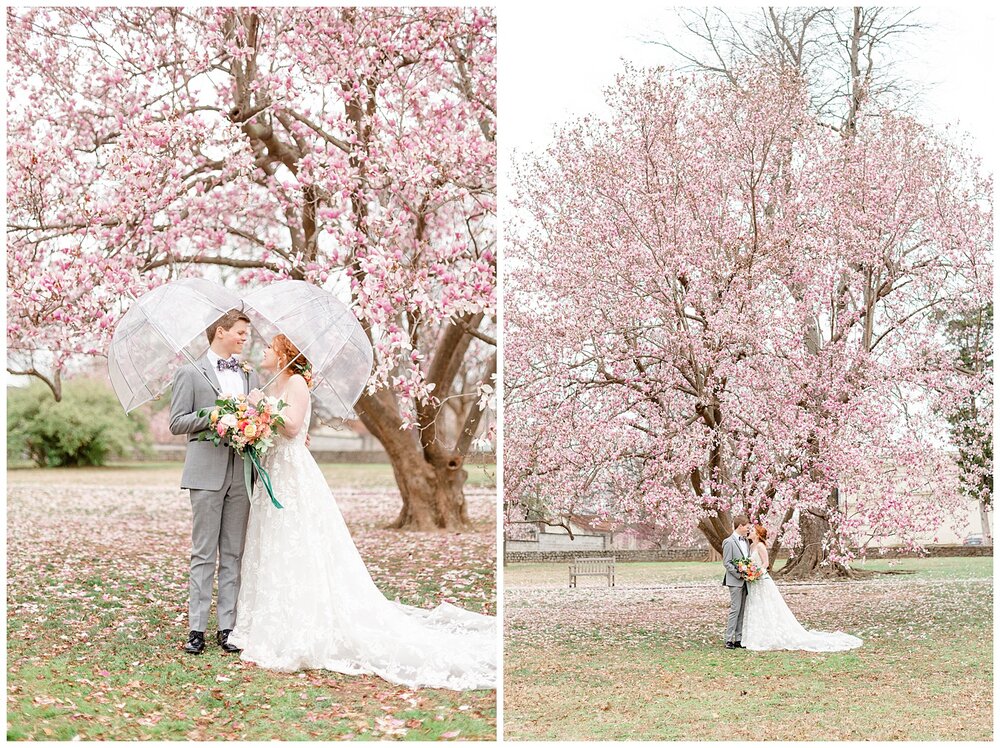 tulip tree wedding pictures