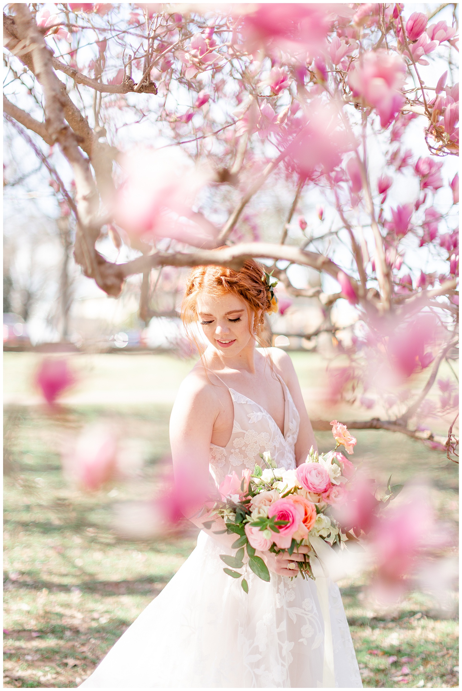 Bride in the Colorful cherry blossoms at the mansion at woodward park. 
