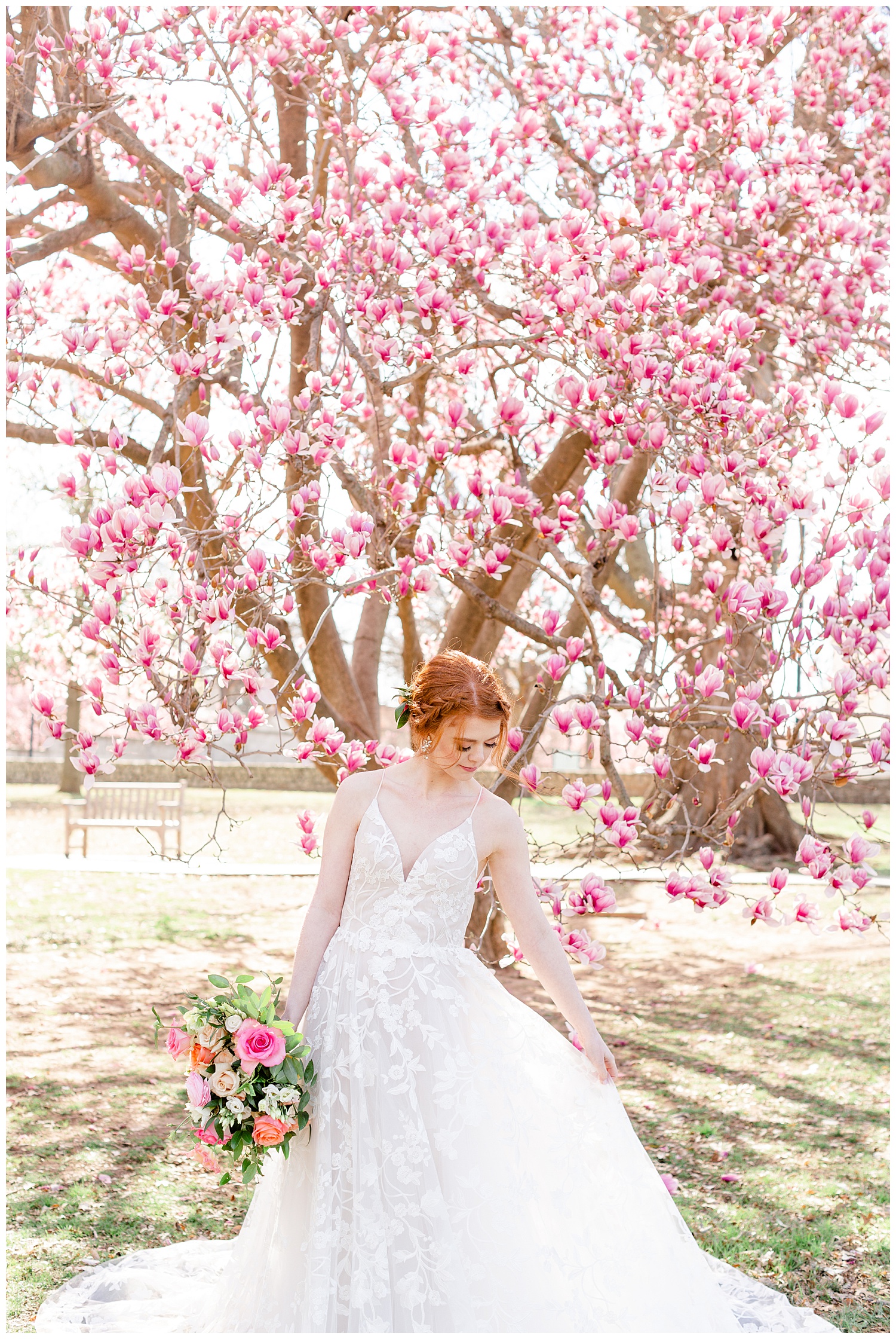 Bride enjoying Spring blossoms at the mansion at woodward park.