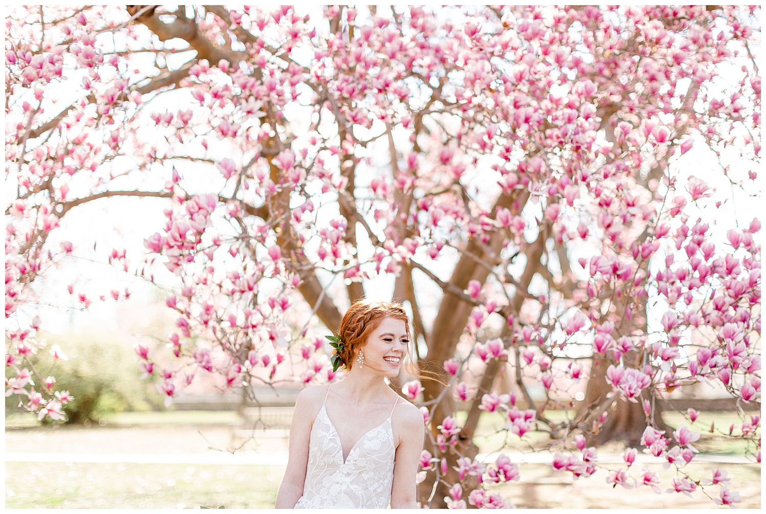 Bride in front of blossoming cherry tree at the mansion at woodward park.