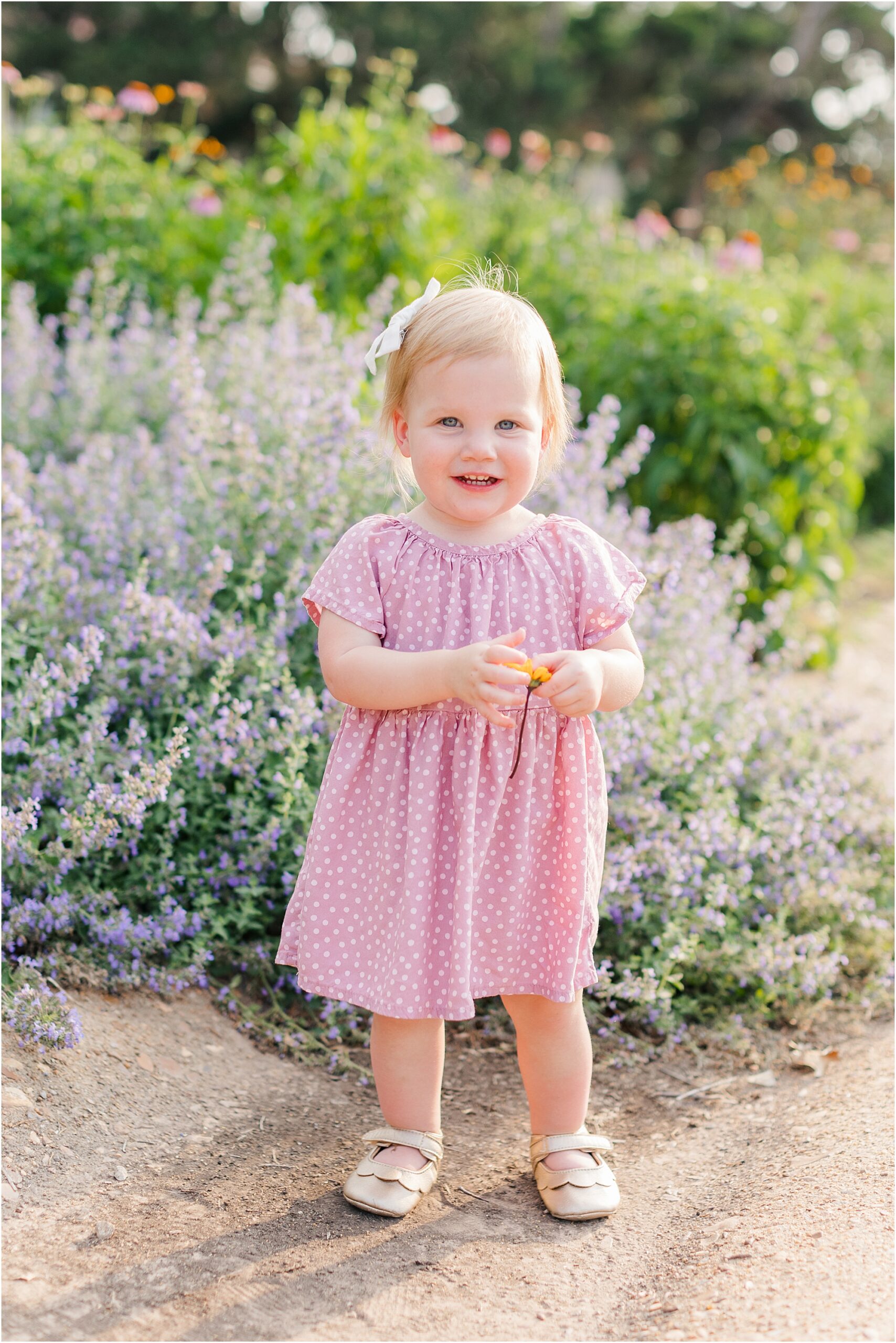 baby picking flowers while standing in front of the lilacs in the summer.