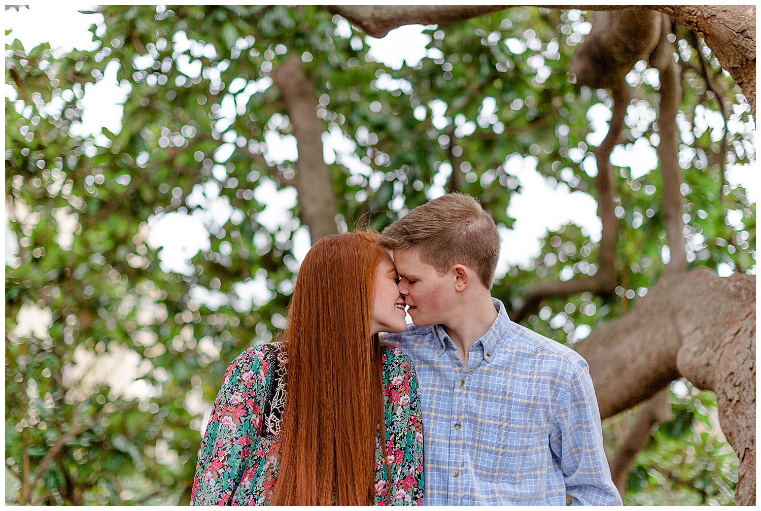 A couple sitting in front of the magnolia tree for their engagement session at woodward park.