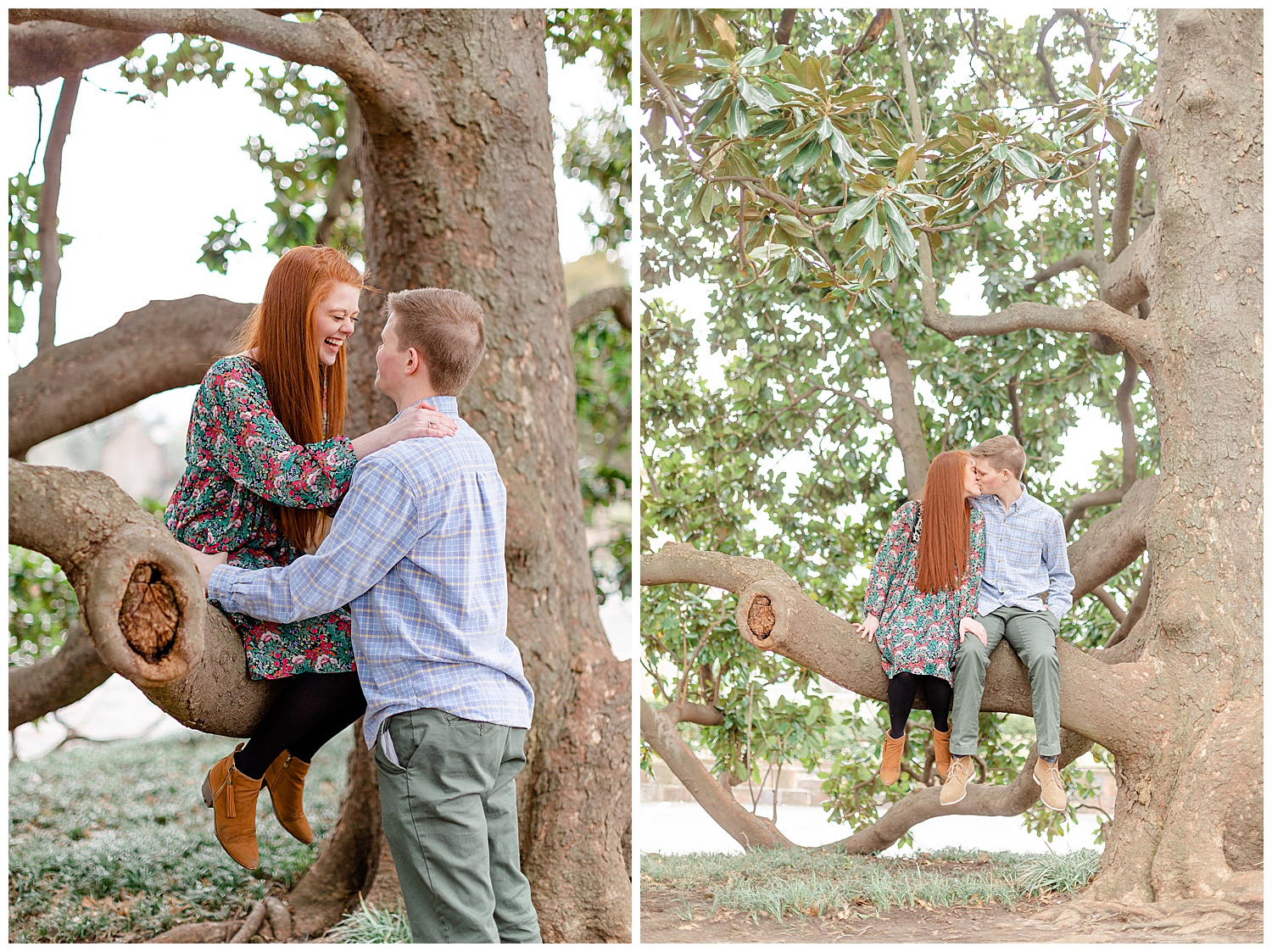 Grant and Ashley sitting in the magnolia tree at their spring engagement session.