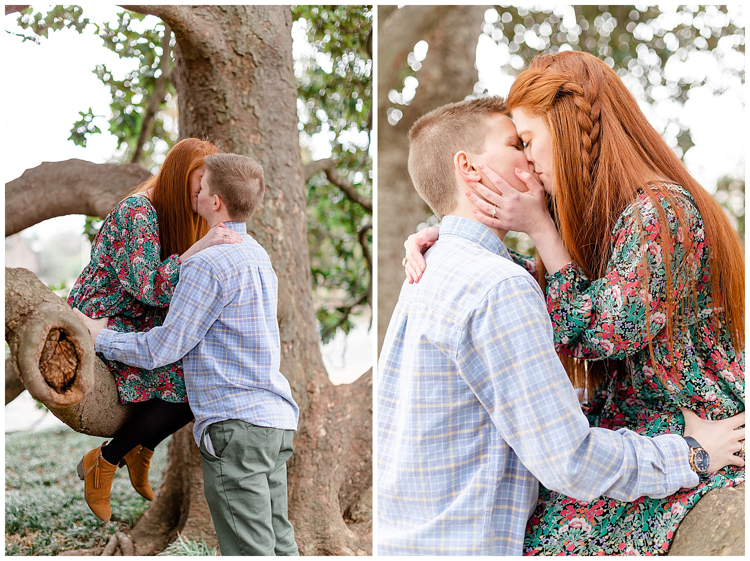 A couple sharing a kiss in a magnolia tree during their spring engagement photos.