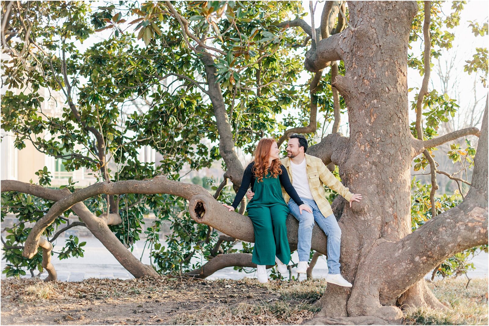 Libby and Avery sitting in a magnolia tree at their garden engagement session at woodward park.